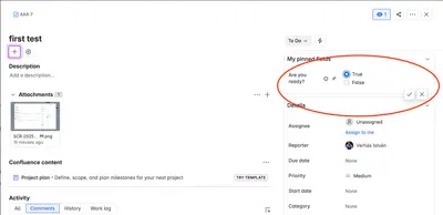 Boolean Custom Field Type — Atlassian plugin