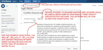 Conditional Multiexcerpt — Atlassian plugin