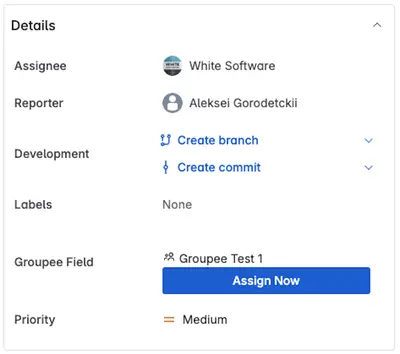 Groupee - Smart Group Assignment for Jira — Atlassian plugin