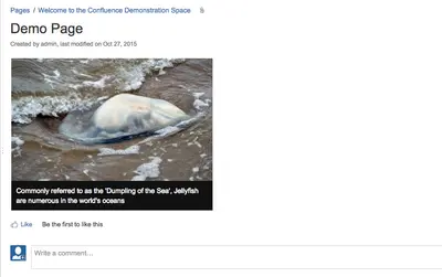 Image Captions for Confluence — Atlassian plugin