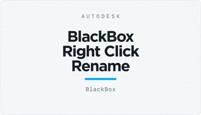 BlackBox Right Click Rename — Autodesk plugin