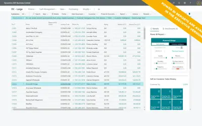 AI Customer Intelligence — Microsoft 365 plugin
