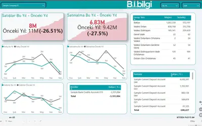 Bi Bilgi Business Inteligence Solutions — Microsoft 365 plugin