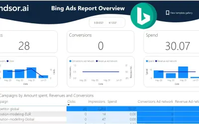 Bing Ads Overview Report - by Windsor.ai — Microsoft 365 plugin