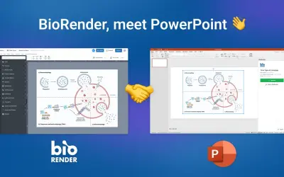 BioRender for PowerPoint — Microsoft 365 plugin