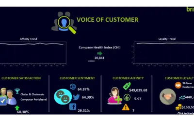 Brillio Voice of Customer for Affinity and Loyalty — Microsoft 365 plugin