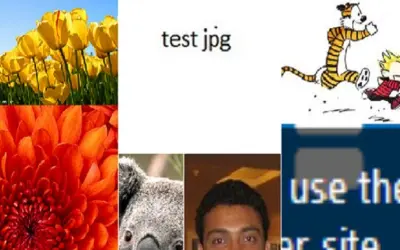 Collage App — Microsoft 365 plugin