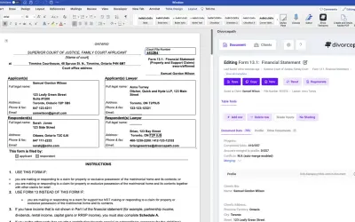 Divorcepath Pro Tools — Microsoft 365 plugin