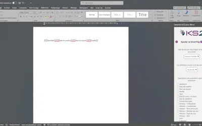 Extension KS2 pour Word — Microsoft 365 plugin