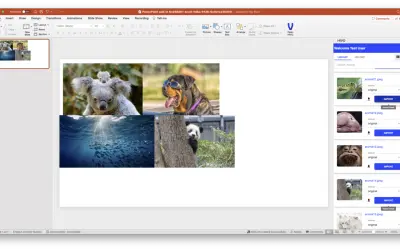 HIVO Add-in — Microsoft 365 plugin