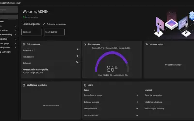 IBM Netezza Performance Server — Microsoft 365 plugin
