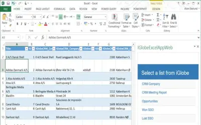 iGlobe CRM Excel Reporting Tool — Microsoft 365 plugin