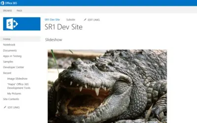 Image Slideshow — Microsoft 365 plugin