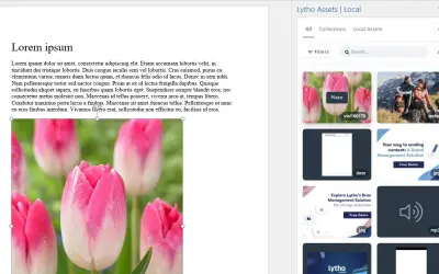 Lytho — Microsoft 365 plugin