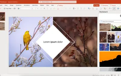 NTB Lens — Microsoft 365 plugin