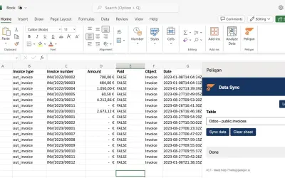 Peliqan.io — Microsoft 365 plugin