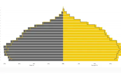 Population Pyramid (Pro) — Microsoft 365 plugin