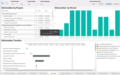PPM Reports for Microsoft Project Online — Microsoft 365 plugin