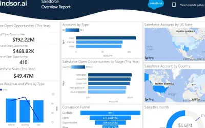 Salesforce Overview Report - by Windsor.ai — Microsoft 365 plugin