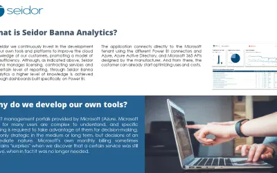Seidor BannaAnalytics — Microsoft 365 plugin
