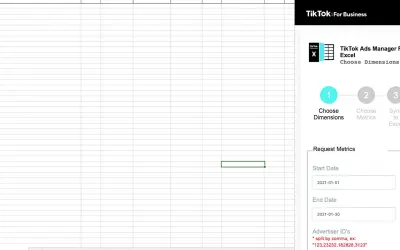 TikTok Ads Manager for Excel — Microsoft 365 plugin