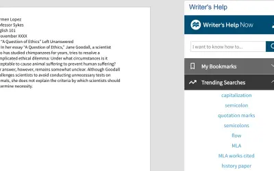 Writer’s Help Now, Hacker - Reference for Writers — Microsoft 365 plugin