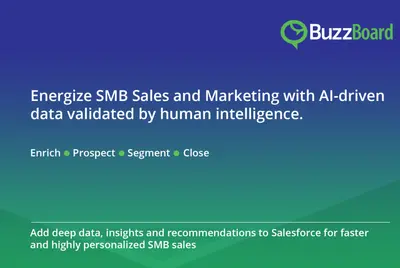 AI-Powered Account Insights on Small to Mid-Sized Businesses — Salesforce plugin