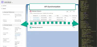 API Integration Utility — Salesforce plugin