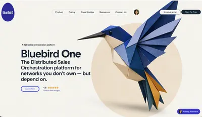 Bluebird One - Lead Routing for large distributed sales networks — Salesforce plugin