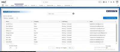 Bulk Lead Conversion Wizard — Salesforce plugin