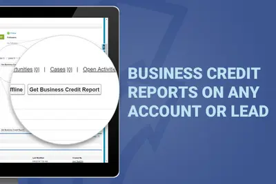 Business Credit Reports, Inc.: Synergy for Salesforce — Salesforce plugin