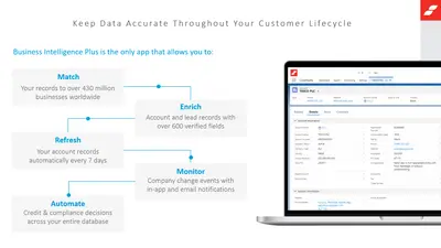 Business Intelligence Plus: Credit risk management, policy automation & B2B data — Salesforce plugin