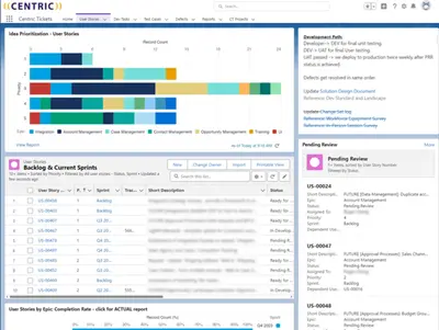 Centric Tickets: Project Management Tool for Sales Cloud and Service Cloud — Salesforce plugin