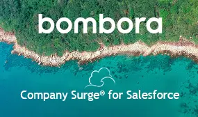 Company Surge® for Salesforce — Salesforce plugin