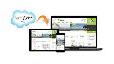 ContestLINK — Salesforce plugin
