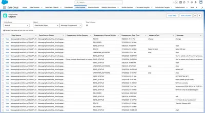 Customer E360 SMS — Salesforce plugin