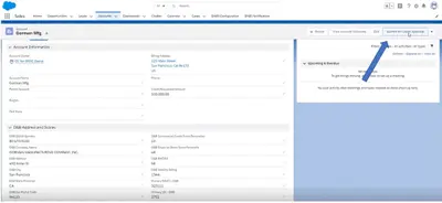 D&B Credit Check for Salesforce — Salesforce plugin