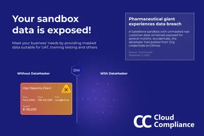 DataMasker: Data Masking tool for Salesforce Sandbox — Salesforce plugin