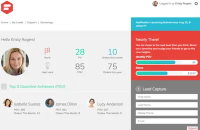 Distributor Back Office Lightning Bolt Solution for Direct Sales — Salesforce plugin