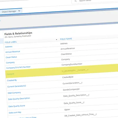 Double Opt-In Solutions for Salesforce Professional — Salesforce plugin