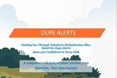 Dupe Alerts — Salesforce plugin