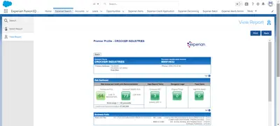 Experian FusionIQ - Instant access to credit reports on businesses & owners — Salesforce plugin