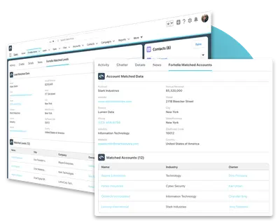 Fortella Lead to Account Matching & Advanced Revenue Intelligence — Salesforce plugin