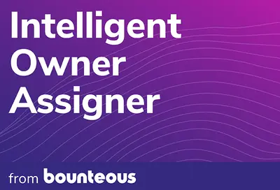 Intelligent Owner Assigner From Bounteous — Salesforce plugin