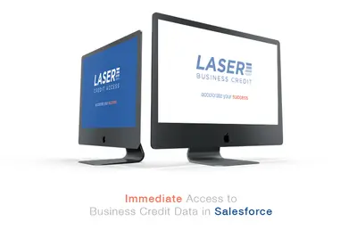 LASER Business Credit Access Business Credit Report Data in Salesforce — Salesforce plugin