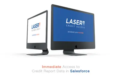 LASER Credit Access - Credit Reports Experian, TransUnion, Equifax, AML & KYC — Salesforce plugin