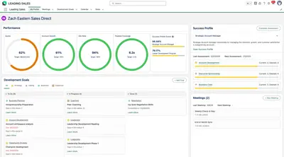 Leading Sales — Salesforce plugin