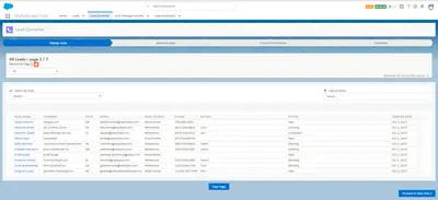 MULTIPLE LEAD CONVERTER — Salesforce plugin