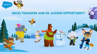 Multiple Opportunity Transfer — Salesforce plugin