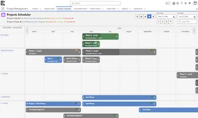 Native Project - Project Management — Salesforce plugin